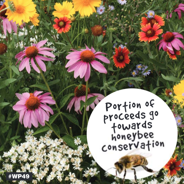 The Honeybee Garden, a selection of flowers intended to attract bees to your garden. 