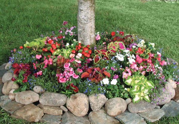 The Shady Annual Tree Ring, a selection of flowers that will beautify your trees from our flower bulb fundraiser